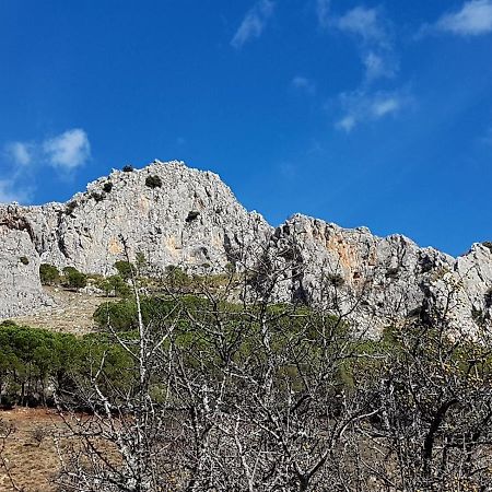 مبيت وإفطار Frascineto Il Vicoletto المظهر الخارجي الصورة